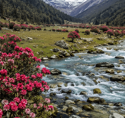 5 Days In North Sikkim — Sikkim