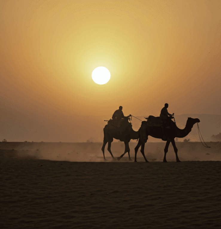 Sam Sands Dusk