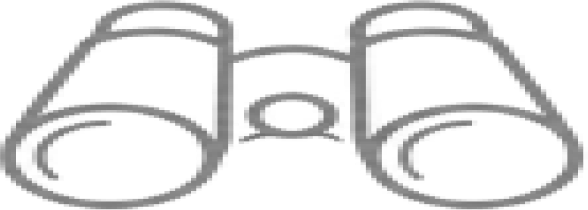 Curated Activities